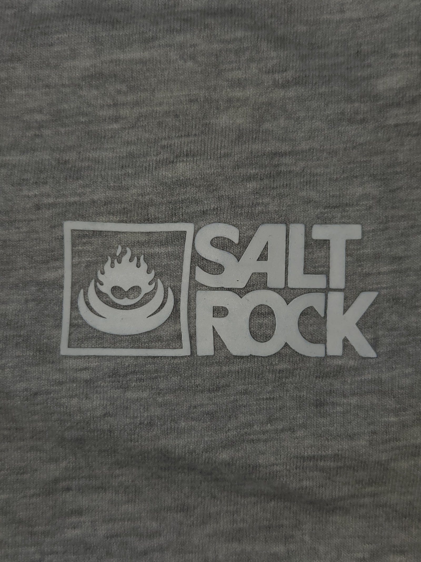Genuine Saltrock Light-grey small-logo T-shirt with tags, L, photo 4